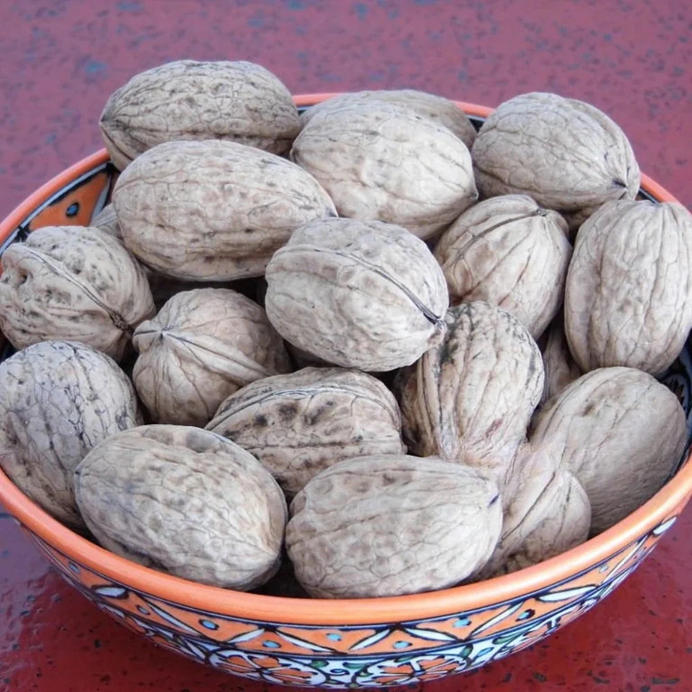 Fresh Dry Chitral Walnut (Akhrot) 1kg - Premium Quality