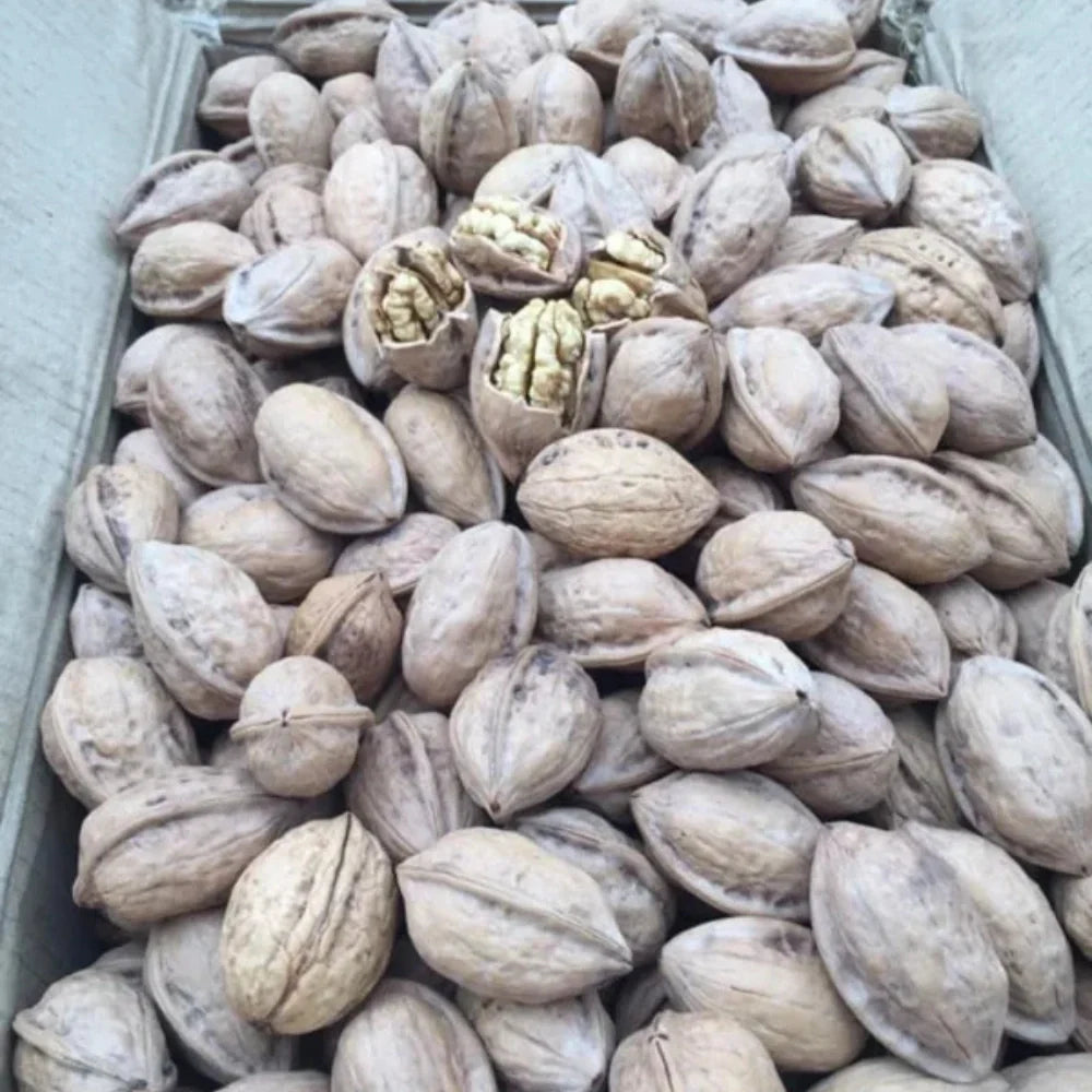 Fresh Dry Chitral Walnut (Akhrot) 1kg - Premium Quality