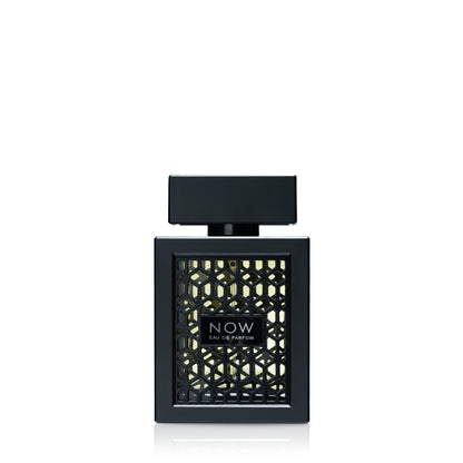 اب بذریعہ Rave EDP پرفیوم برائے مردوں - 100ml | بولڈ اور تازہ
