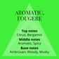 Colour Me Volt Cologne for Men | Long-Lasting Eau de Parfum