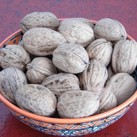 Fresh Dry Chitral Walnut (Akhrot) 1kg - Premium Quality