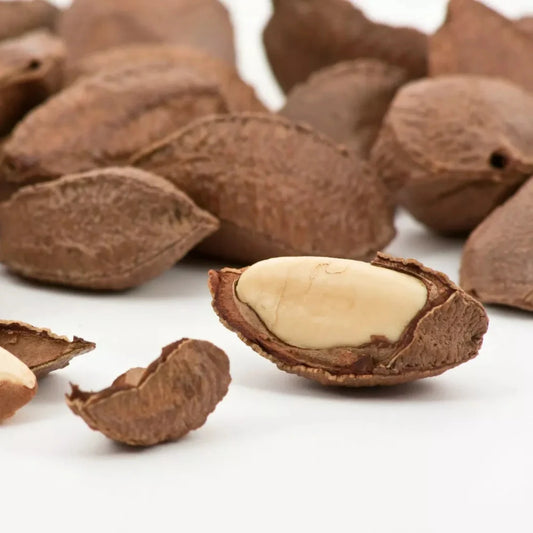 Brazil Nuts Tree Finest – Premium Quality & Freshness 1kg
