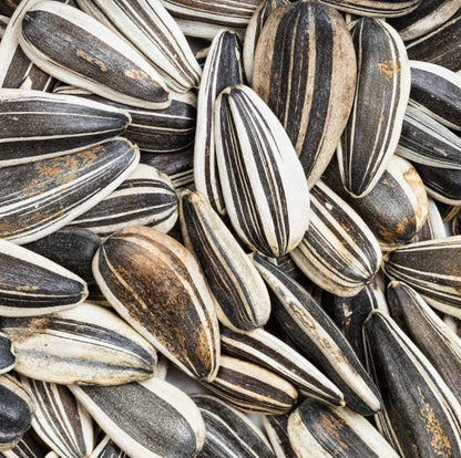 Sunflower Seeds