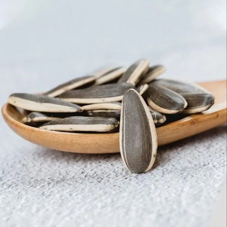 Sunflower Seeds