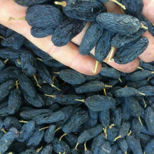 dry fruit