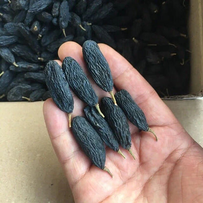 dry fruit